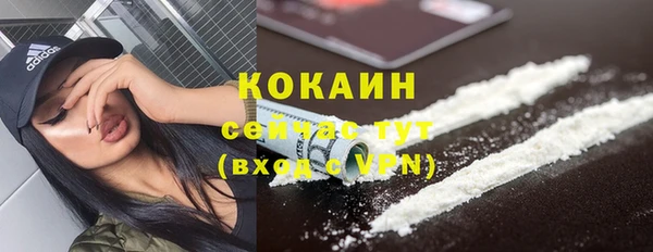 ГАЛЛЮЦИНОГЕННЫЕ ГРИБЫ Валдай