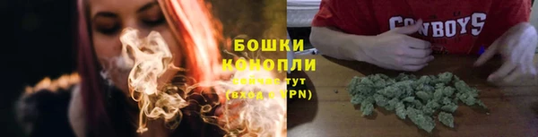 ГАЛЛЮЦИНОГЕННЫЕ ГРИБЫ Валдай