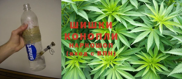 ГАЛЛЮЦИНОГЕННЫЕ ГРИБЫ Валдай