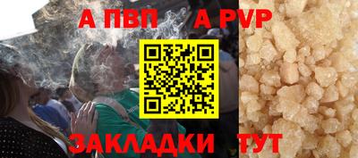 стаф Бийск