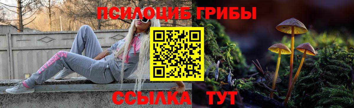 Псилоцибиновые грибы мицелий  Вход с VPN  Коммунар  Галлюциногенные грибы Psilocybe 